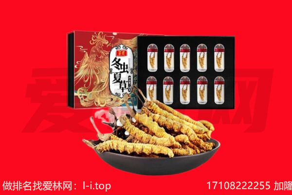 信阳市回收虫草.jpg
